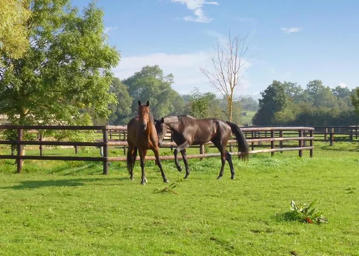 Feriehus Beautiful In With Wifi